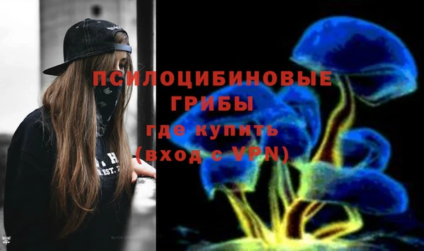 трава Арсеньев