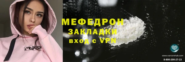 прущие грибы Каменногорск