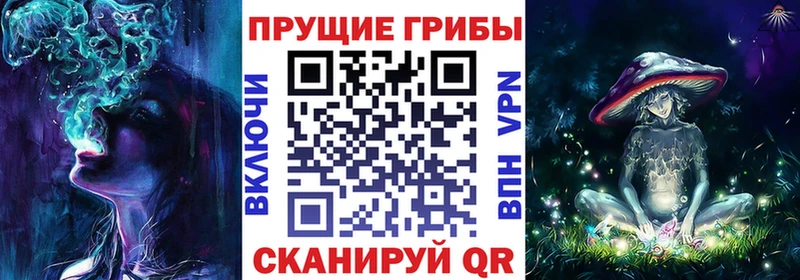 закладки mega ТОР Галлюциногенные грибы ЛСД Геленджик